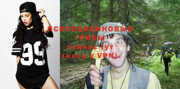индика Алзамай