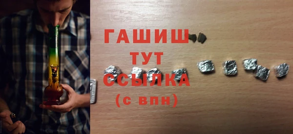 индика Алзамай