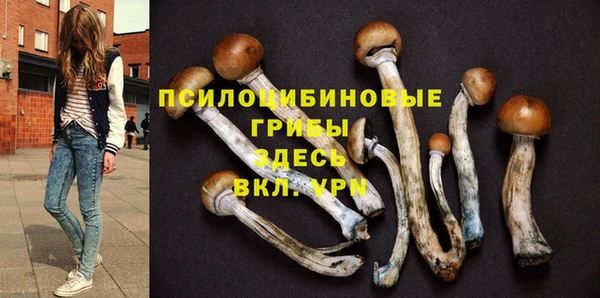спиды Алексин