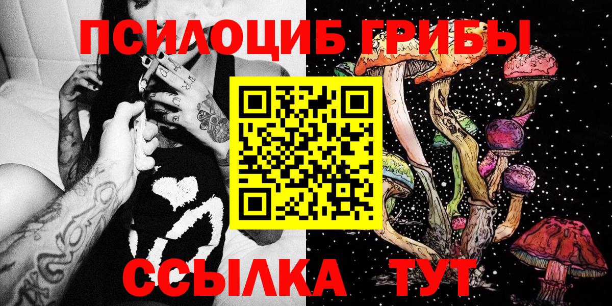 Лесосибирск  Псилоцибиновые грибы Psilocybine cubensis  Вход с VPN 